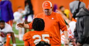 New faces in new places: Spring questions abound for the Tigers